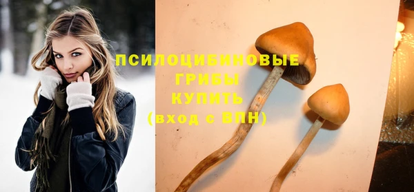хмурый Балабаново
