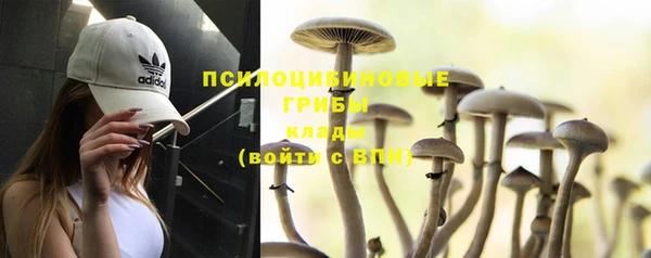 хмурый Балабаново