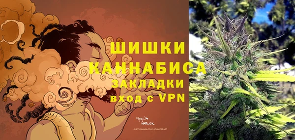крисы Инсар