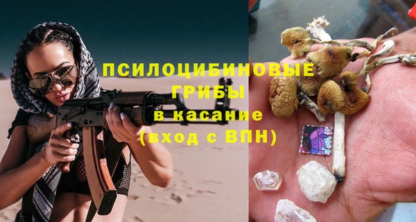 ГАЛЛЮЦИНОГЕННЫЕ ГРИБЫ Иннополис