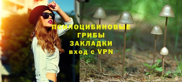 хмурый Балабаново