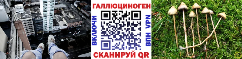 Псилоцибиновые грибы GOLDEN TEACHER  купить  сайты  Беслан 